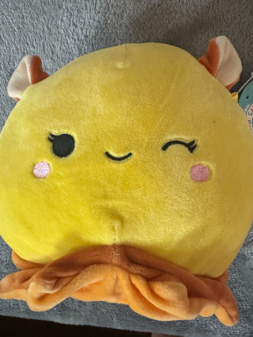 Squishmallow 7in